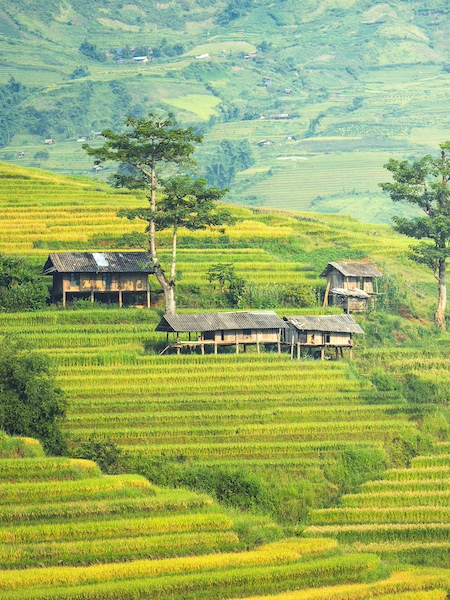 Bali
