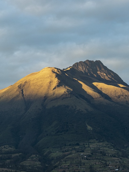 Ibarra