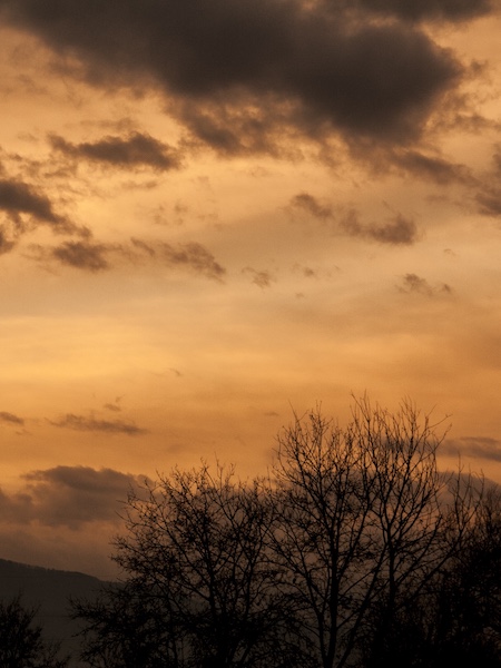 Kraljevo
