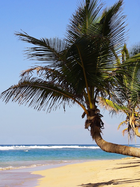 Punta Cana
