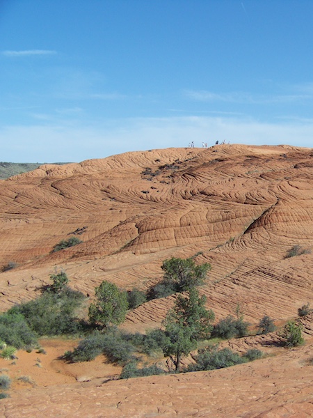 St. George