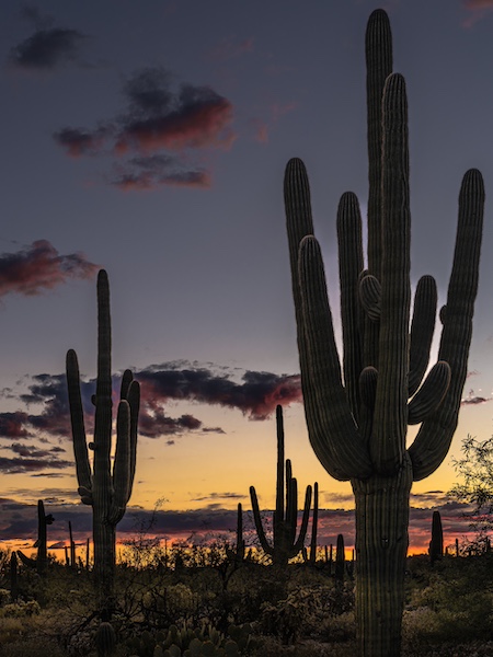 Tucson