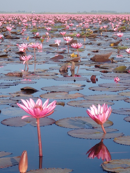 Udon Thani